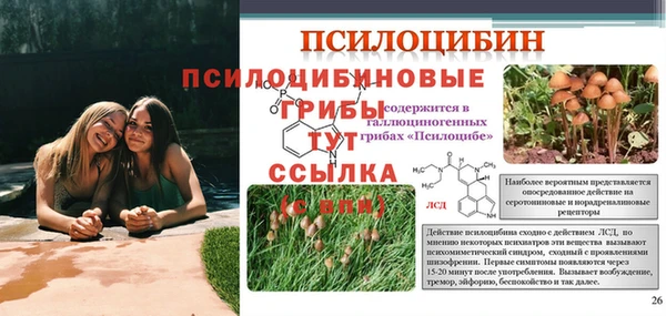 мдма Володарск