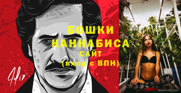 прущие грибы Волосово