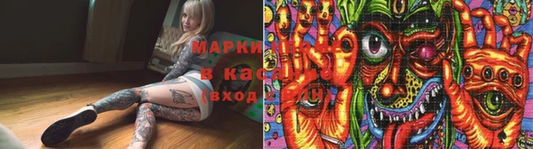прущий лед Вяземский